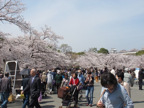 大賑わいの姫路城