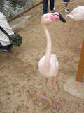 120209_清水06