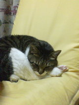 43d470d6.jpg