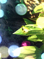 2012-08-22 16:04:58 写真1