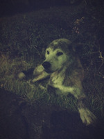 2012-08-24 23:48:00 写真1