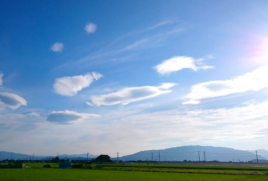 空のクラゲたち