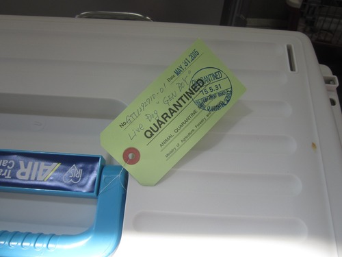 リオンせんとれあ 008