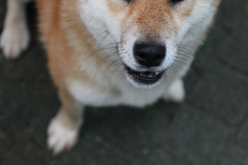 6 047