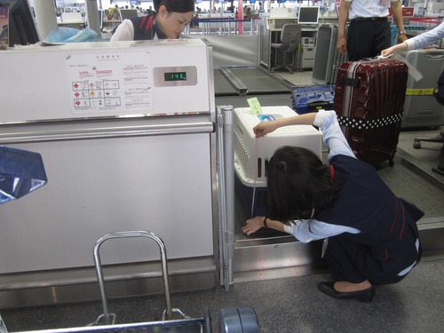 リオンせんとれあ 010