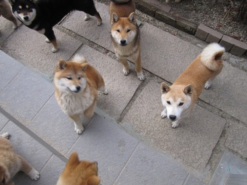 9 002
