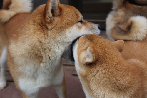 7 009