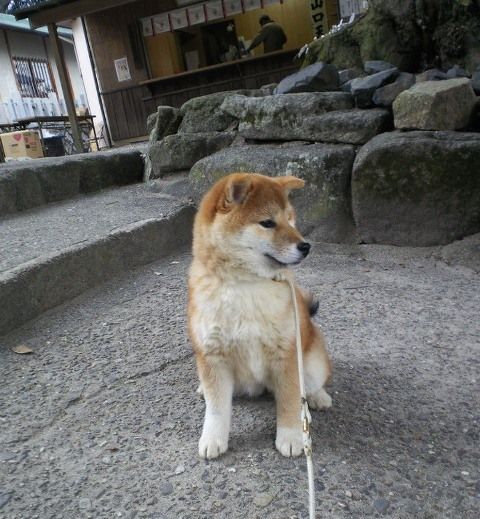 201202051522000