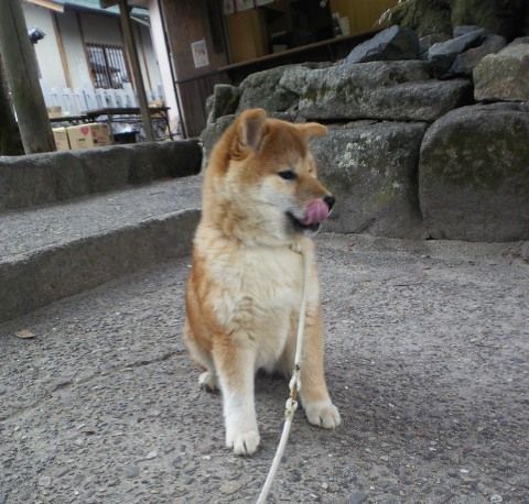 201202051522002