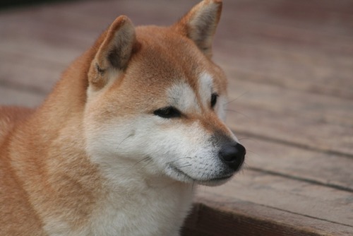 6 015