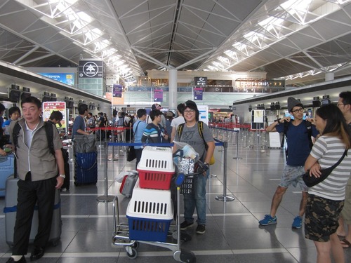 リオンせんとれあ 006