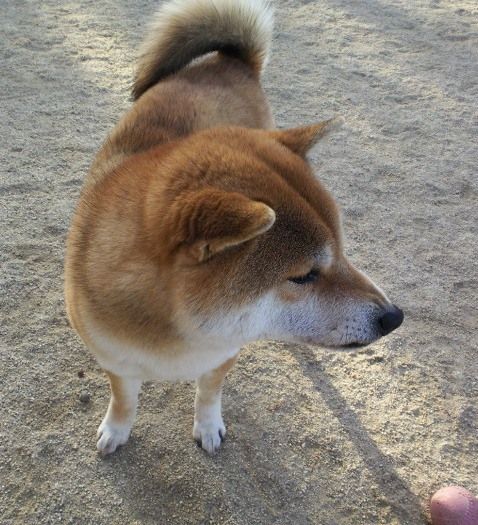 201201300822000