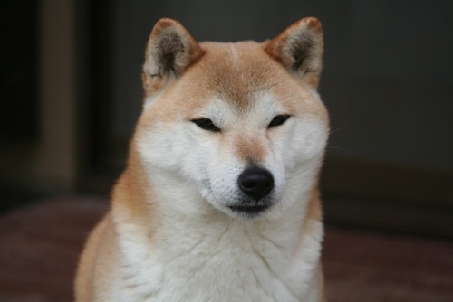 1 024