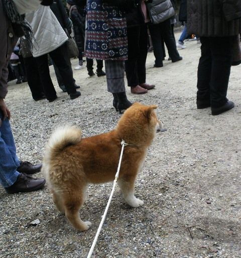201202051449001