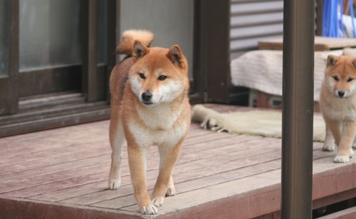 6 035