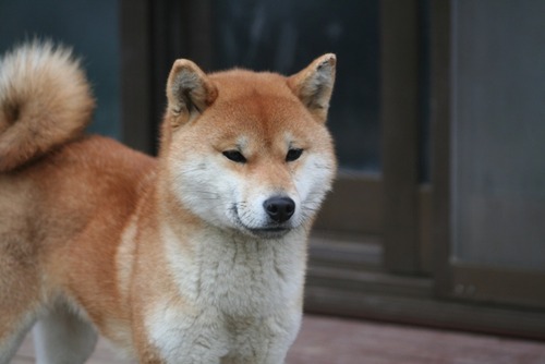 6 012