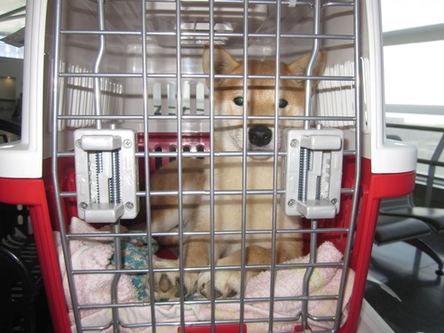 リオンせんとれあ 012