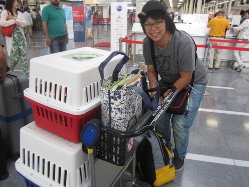 リオンせんとれあ 004