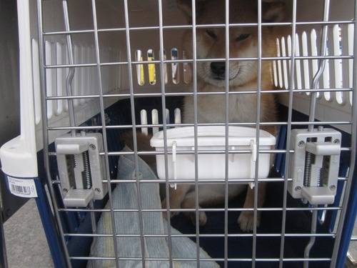 リオンせんとれあ 002