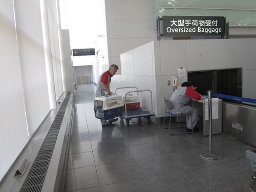 リオンせんとれあ 015