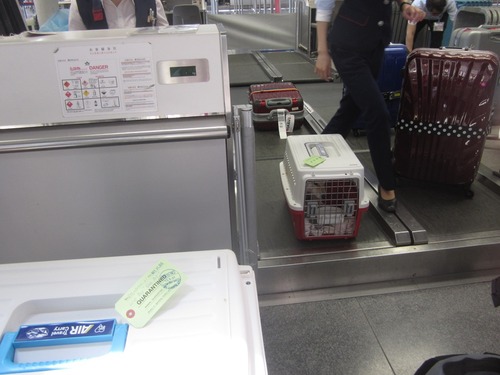 リオンせんとれあ 007