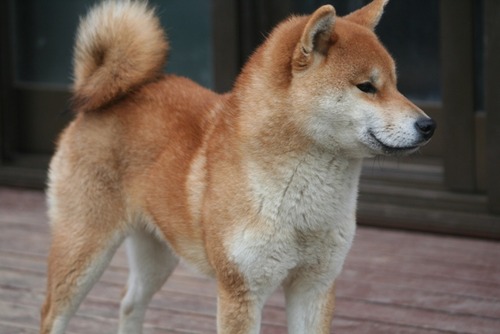 6 013