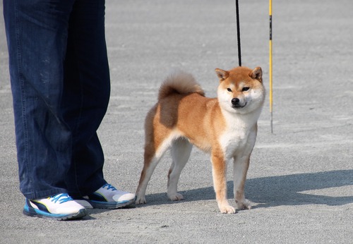 143山田乃紅蘭３