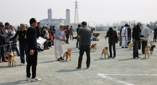 雄壮犬ならび