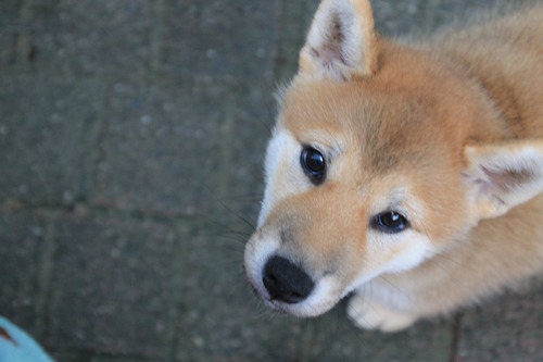 6 045