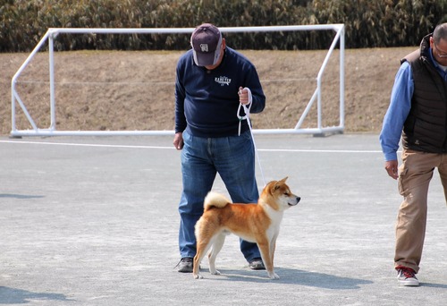 65魚井さん