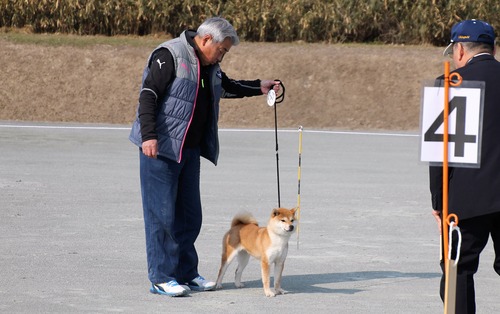 143山田の紅蘭２