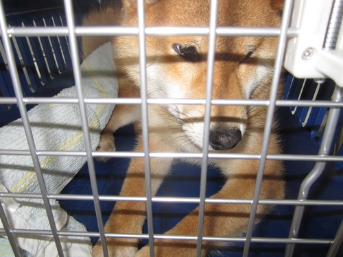 リオンせんとれあ 011