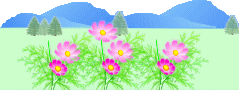 cosmos3