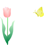 tulip2