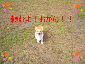 BlogPaint
