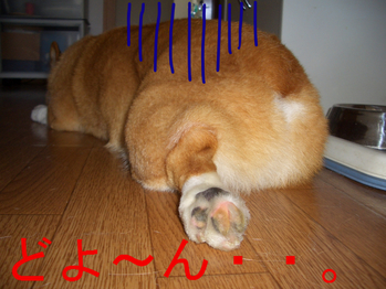 BlogPaint