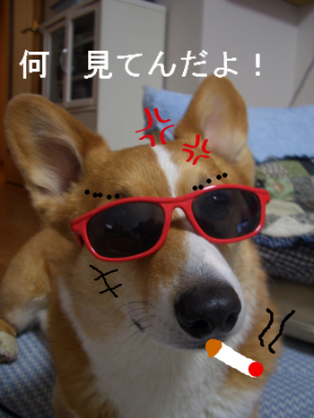 BlogPaint