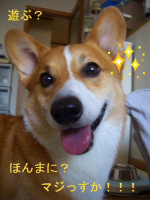 BlogPaint