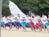 色別対抗綱引き