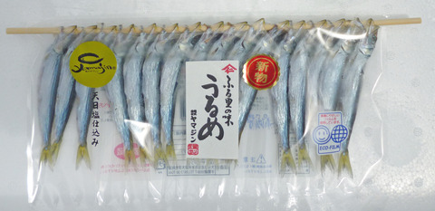 2017うるめ16尾新物