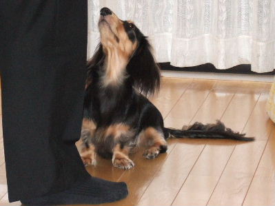 20061018