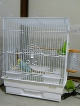 3944fd71.jpg