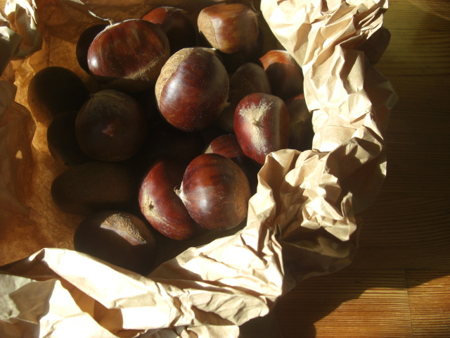 0b907622.JPG