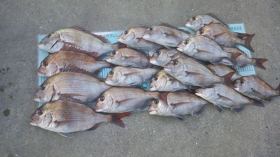 68601_269487296513053_642390542_n