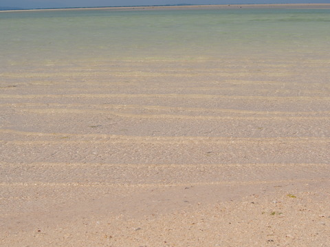 P3260231