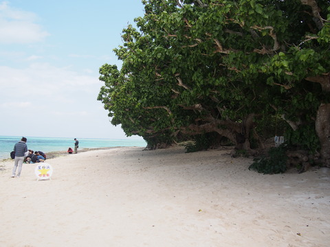 P3260078