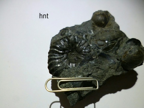 1537456925154