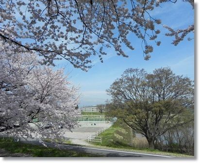 中学校