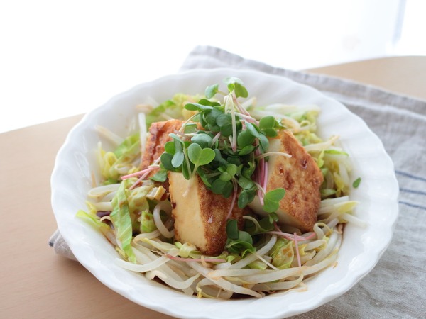 厚揚げと春キャベツの照り焼きソース仕立て・横斜俯瞰_1600
