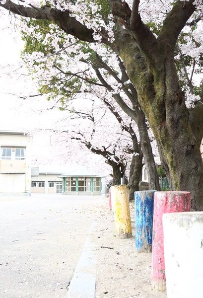 小学校2